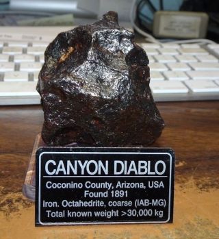 314 Gm.  Canyon Diablo Iron Meteorite ;museum Grade With Stand And Label