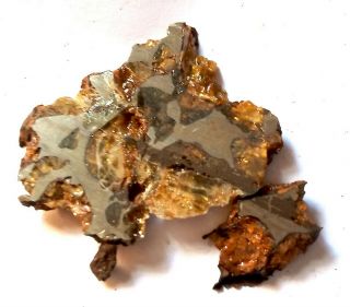 Imilac Meteorite,  Chile,  pallasite complete slice 13.  5 grams 3