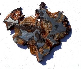 Imilac Meteorite,  Chile,  pallasite complete slice 13.  5 grams 5