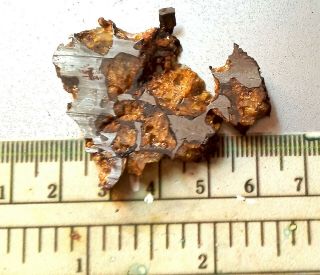 Imilac Meteorite,  Chile,  pallasite complete slice 13.  5 grams 6