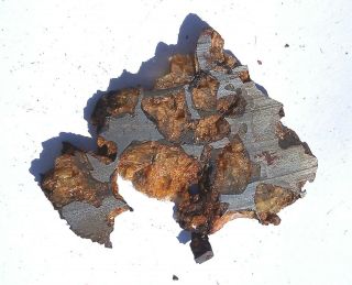Imilac Meteorite,  Chile,  pallasite complete slice 13.  5 grams 7