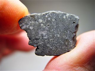 Historic Witnessed Fall Best Allende Cv3 Meteorite End Cut 5.  36 Gms