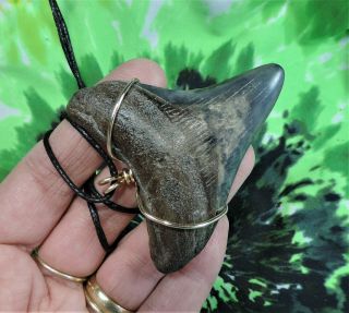 2 5/8  MEGALODON SHARKS TOOTH NECKLACE JEWELRY NO RESTORATIONS 2