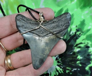2 5/8  MEGALODON SHARKS TOOTH NECKLACE JEWELRY NO RESTORATIONS 3