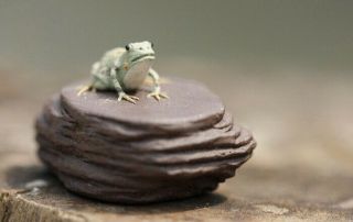 Chinese Yixing zisha tea pet Mini frog on rock tea ceremony decoration 3