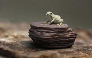 Chinese Yixing zisha tea pet Mini frog on rock tea ceremony decoration 4