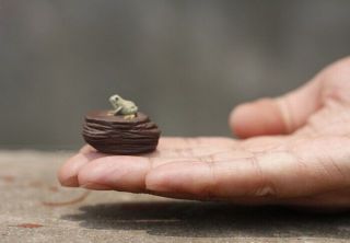 Chinese Yixing zisha tea pet Mini frog on rock tea ceremony decoration 5