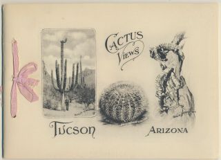 Booklet W Illustrations Of Desert Scenes In Tucson Az - R.  Rasmessen
