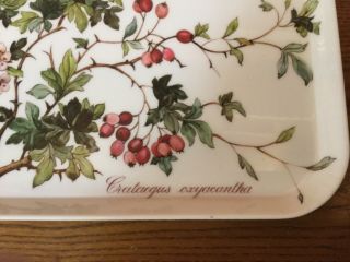 Retro Webel Made In Italy 17 1/2” Plastic Serving Tray -