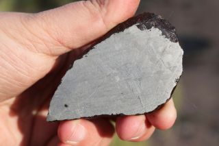 Muonionalusta meteorite etched full slice 69 grams 2
