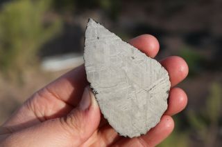 Muonionalusta meteorite etched full slice 69 grams 3
