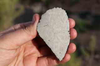 Muonionalusta meteorite etched full slice 69 grams 4