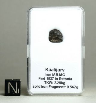 Meteorite Kaalijarv - Extremely Rare Iron From Estonia Solid Iron Fragment