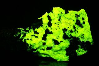 Rare Fluorescent Yellow Esperite With Franklinite Franklin,  Jersey
