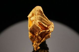 Native Gold Crystal SERRO DO CALDEIRAO,  BRAZIL 10