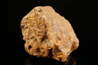 UNIQUE OLD Native Gold Crystal with Quartz GOLDFIELD,  NEVADA 10