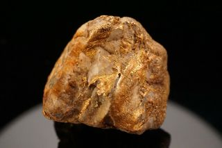 UNIQUE OLD Native Gold Crystal with Quartz GOLDFIELD,  NEVADA 12