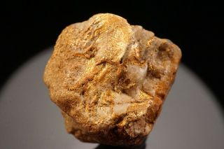 UNIQUE OLD Native Gold Crystal with Quartz GOLDFIELD,  NEVADA 2