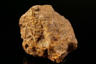 UNIQUE OLD Native Gold Crystal with Quartz GOLDFIELD,  NEVADA 3