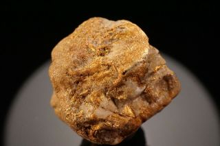 UNIQUE OLD Native Gold Crystal with Quartz GOLDFIELD,  NEVADA 5
