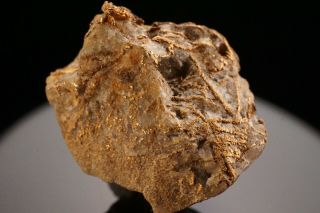 UNIQUE OLD Native Gold Crystal with Quartz GOLDFIELD,  NEVADA 9