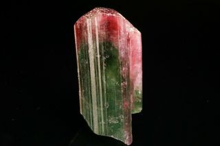 AESTHETC Bi - Color Tourmaline Crystal CRUZEIRO,  BRAZIL 10