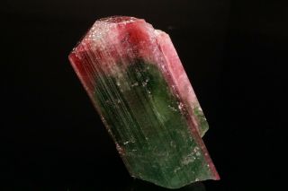 AESTHETC Bi - Color Tourmaline Crystal CRUZEIRO,  BRAZIL 11