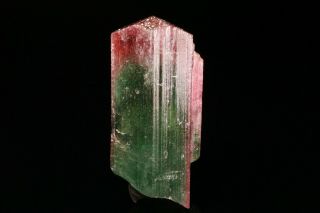 AESTHETC Bi - Color Tourmaline Crystal CRUZEIRO,  BRAZIL 2