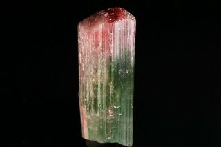 AESTHETC Bi - Color Tourmaline Crystal CRUZEIRO,  BRAZIL 3