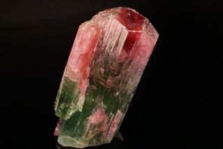 AESTHETC Bi - Color Tourmaline Crystal CRUZEIRO,  BRAZIL 5