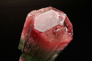 AESTHETC Bi - Color Tourmaline Crystal CRUZEIRO,  BRAZIL 9