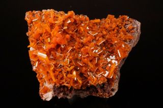AESTHETIC Wulfenite & Mimetite Crystal Cluster ROWLEY MINE ARIZONA - Ex Robertson 10