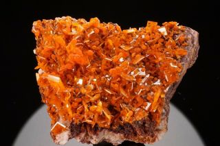 AESTHETIC Wulfenite & Mimetite Crystal Cluster ROWLEY MINE ARIZONA - Ex Robertson 12