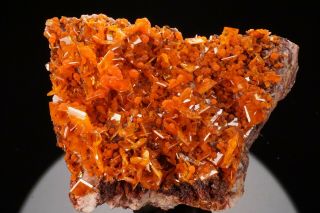 Aesthetic Wulfenite & Mimetite Crystal Cluster Rowley Mine Arizona - Ex Robertson