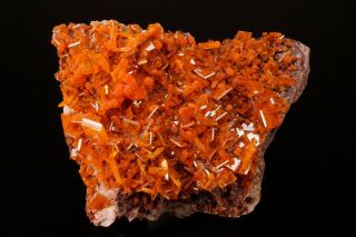 AESTHETIC Wulfenite & Mimetite Crystal Cluster ROWLEY MINE ARIZONA - Ex Robertson 2
