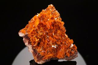 AESTHETIC Wulfenite & Mimetite Crystal Cluster ROWLEY MINE ARIZONA - Ex Robertson 4