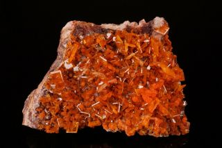 AESTHETIC Wulfenite & Mimetite Crystal Cluster ROWLEY MINE ARIZONA - Ex Robertson 5