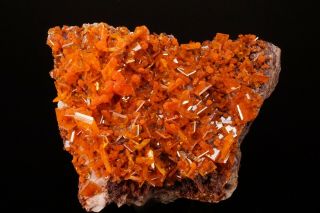AESTHETIC Wulfenite & Mimetite Crystal Cluster ROWLEY MINE ARIZONA - Ex Robertson 7