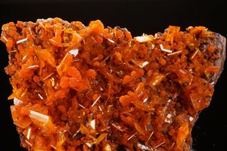 AESTHETIC Wulfenite & Mimetite Crystal Cluster ROWLEY MINE ARIZONA - Ex Robertson 9