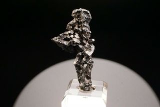 CLASSIC Acanthite Crystal Cluster FREIBERG,  GERMANY - Ex.  Robertson 2