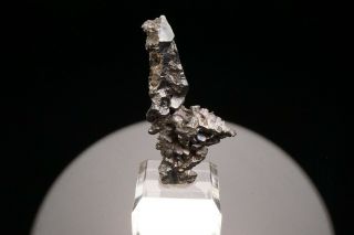 CLASSIC Acanthite Crystal Cluster FREIBERG,  GERMANY - Ex.  Robertson 3