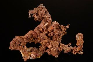 Unique Native Copper Crystal Cluster Santa Rita,  Mexico - Ex.  Pinch