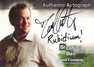 Breaking Bad Seasons 1 - 5 David Costabile As Gale Boetticher A5 Auto Card B