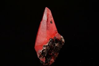 CLASSIC Rhodochrosite Crystal UCHUCCHACUA MINE,  PERU 12