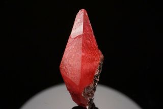 CLASSIC Rhodochrosite Crystal UCHUCCHACUA MINE,  PERU 2