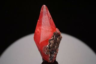 CLASSIC Rhodochrosite Crystal UCHUCCHACUA MINE,  PERU 5