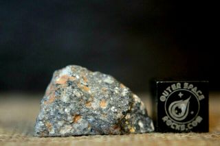 NWA 11266 Lunar Feldspathic Regolith Breccia Meteorite 4.  5 grams from the Moon 3