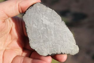 Muonionalusta Meteorite Etched Full Slice 114 Grams