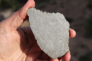 Muonionalusta meteorite etched full slice 114 grams 3