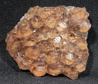 3.  2 Cm Gem Hessonite Garnet Crystals On Matrix,  Jeffrey Mine,  Quebec,  Canada